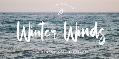 Winter Winds Font Poster 1