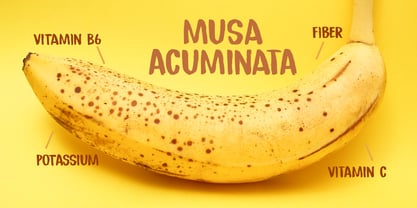 Republica Banana Font Poster 2