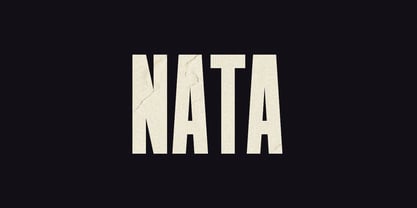 Nata Font Poster 1