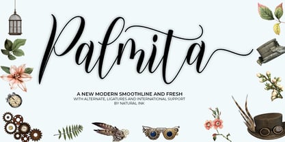 Palmita Font Poster 1