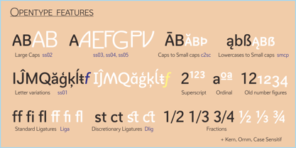 Axeo Sans Font Poster 8