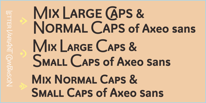 Axeo Sans Font Poster 5