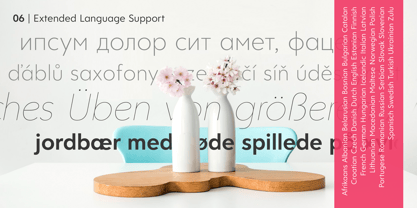 Clarika Pro Font Poster 12