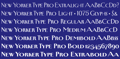 New Yorker Type Pro Font Poster 7