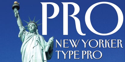 New Yorker Type Pro Font Poster 1