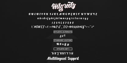 Hilgreds Script Font Poster 6