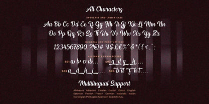 Mendoan Script Font Poster 11