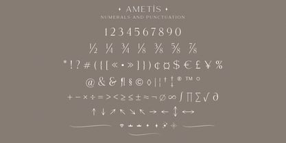 Ametis Font Poster 14