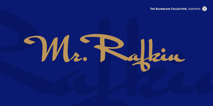 Mr Rafkin Pro Font Poster 1