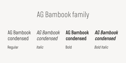 AG Bambook Font Poster 2