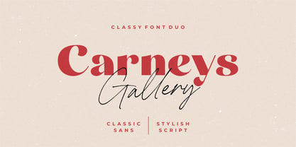 Carneys Gallery Font Poster 14