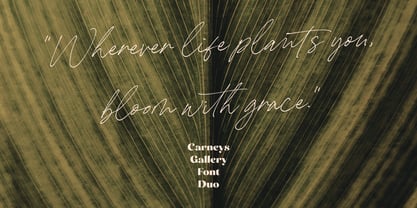 Carneys Gallery Font Poster 11