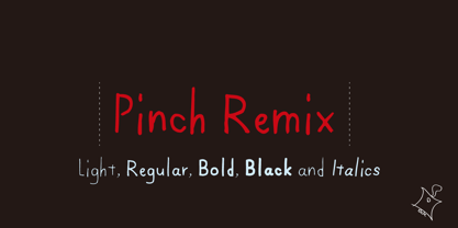 Pinch Remix Font Poster 1