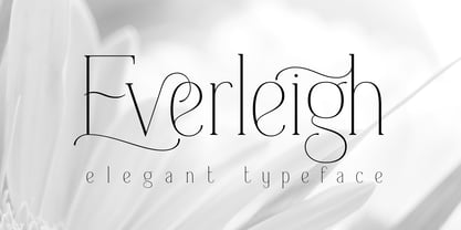 Everleigh Font Poster 1