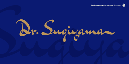 Dr Sugiyama Pro Font Poster 1