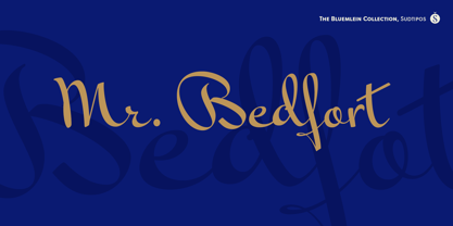 Mr Bedfort Pro Font Poster 1