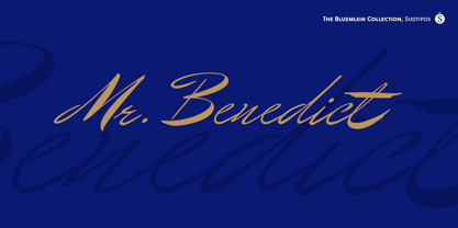 Mr Benedict Pro Font Poster 1