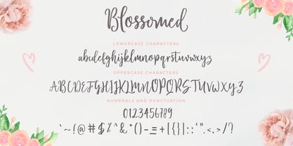 Blossomed Script Font Poster 5