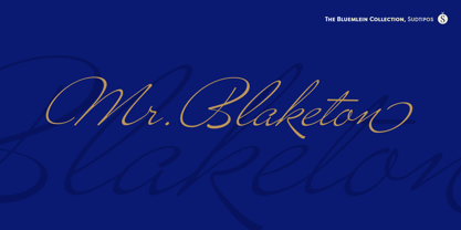 Mr Blaketon Pro Font Poster 1