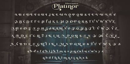 Platinor Font Poster 13
