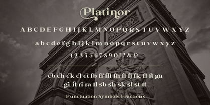 Platinor Font Poster 12
