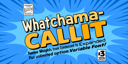 Whatchamacallit Font Poster 1