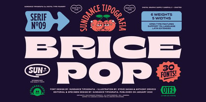 Brice Font Poster 1
