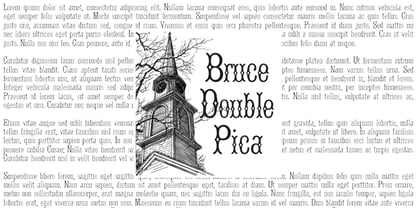 Bruce Double Pica Fuente Póster 1
