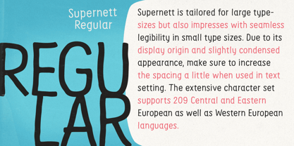 Supernett Font Poster 9