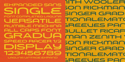 Laguna Vintage Font Poster 6