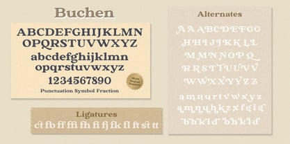 The Buchen Font Poster 13