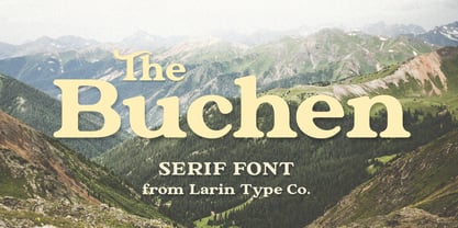The Buchen Fuente Póster 1