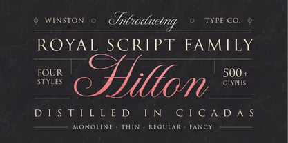 WT Hilton Script Font Poster 1