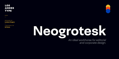 Neogrotesk Font Poster 1