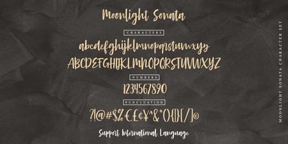 Moonlight Sonata Font Poster 4