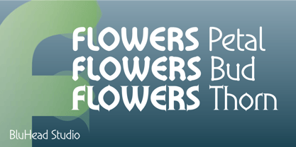 Flowers Font Poster 2