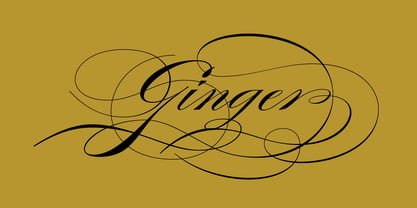 Burgues Script Font Poster 5