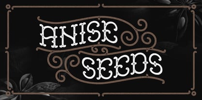 Anise Seeds Font Poster 1