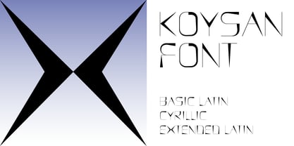 Koysan Fuente Póster 6