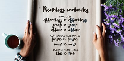 Reckless Font Poster 4