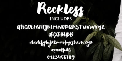 Reckless Font Poster 2