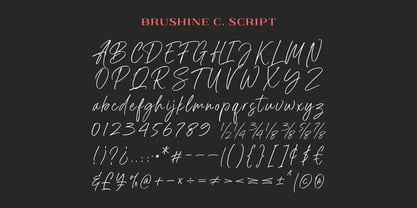 Brushine Collection Font Poster 14