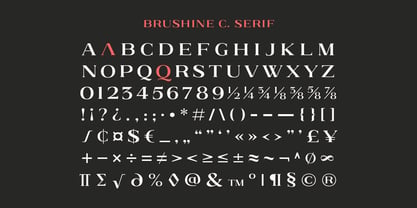 Brushine Collection Font Poster 13