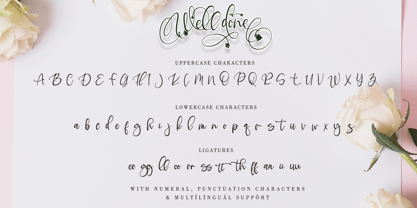 Well Done Font Poster 11