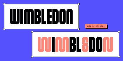 Robson Font Poster 6