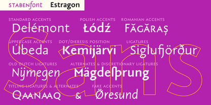 Estragon Pro Font Poster 5