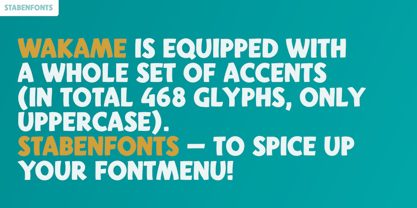 Wakame Font Poster 5