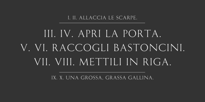 FS Rome Font Poster 3