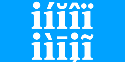FS Split Serif Font Poster 4