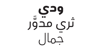 FS Albert Arabic Font Poster 2